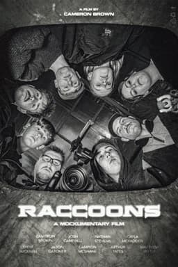 RACCOONS