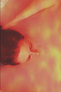 Nothing A Little Soap and Water Can't Fix