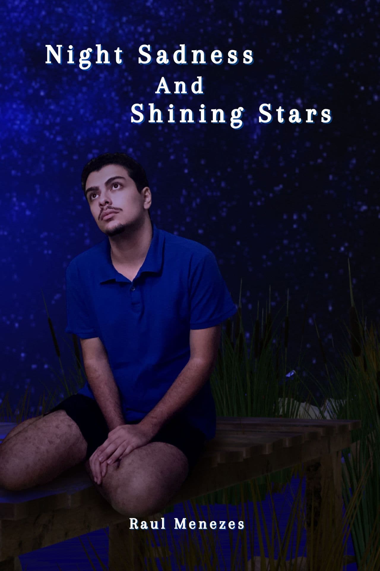 Night Sadness And Shining Stars