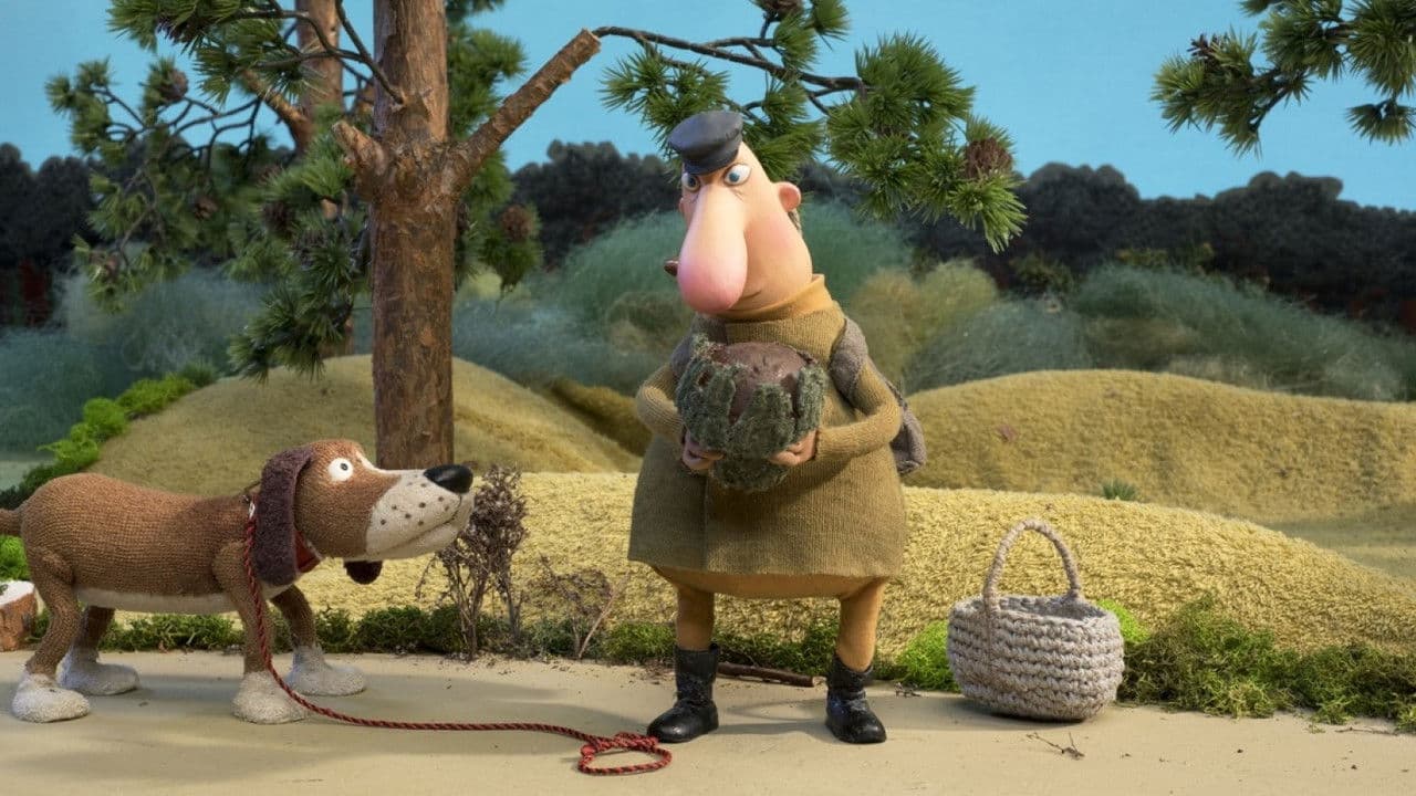 The Life of a Mushroom