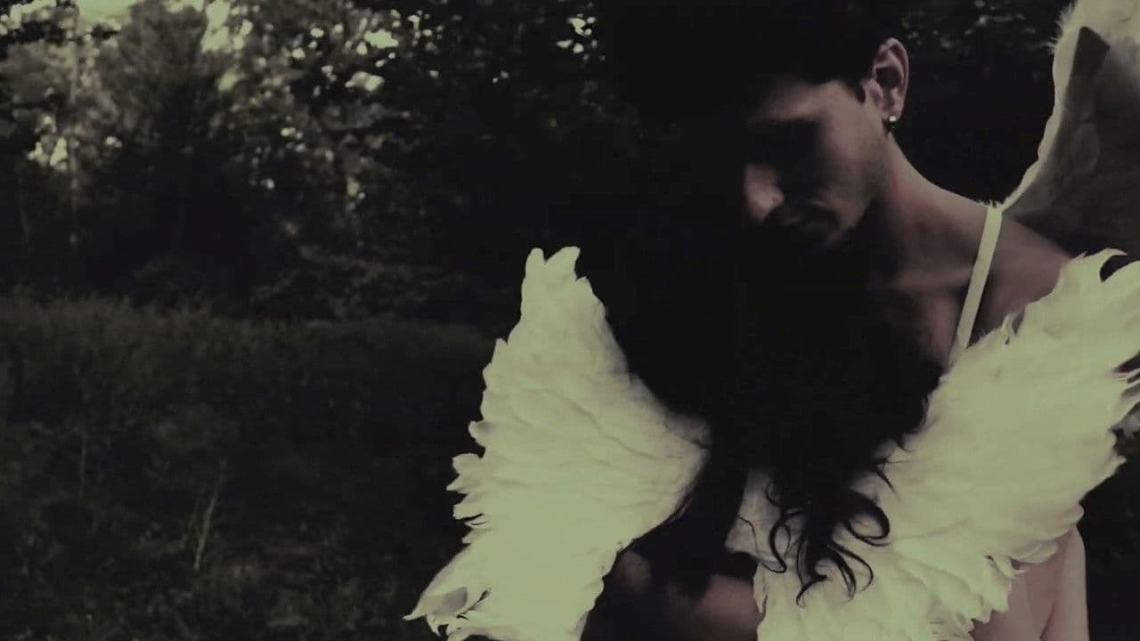 Ángeles de Medianoche