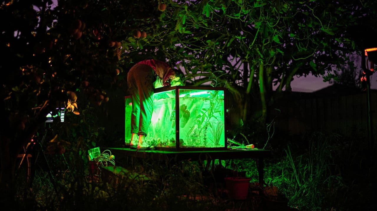 The Water Of The Womb