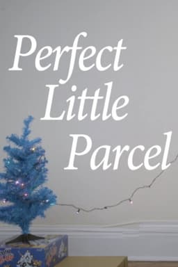 Perfect Little Parcel