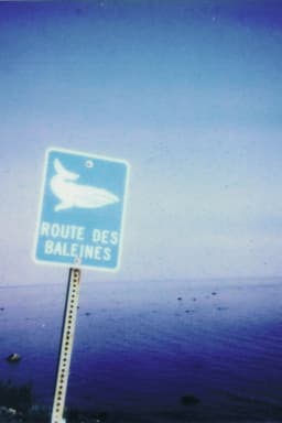 La route des baleines