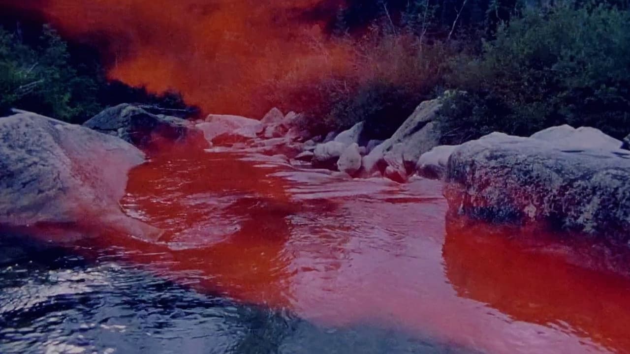 Running Shadow Part II