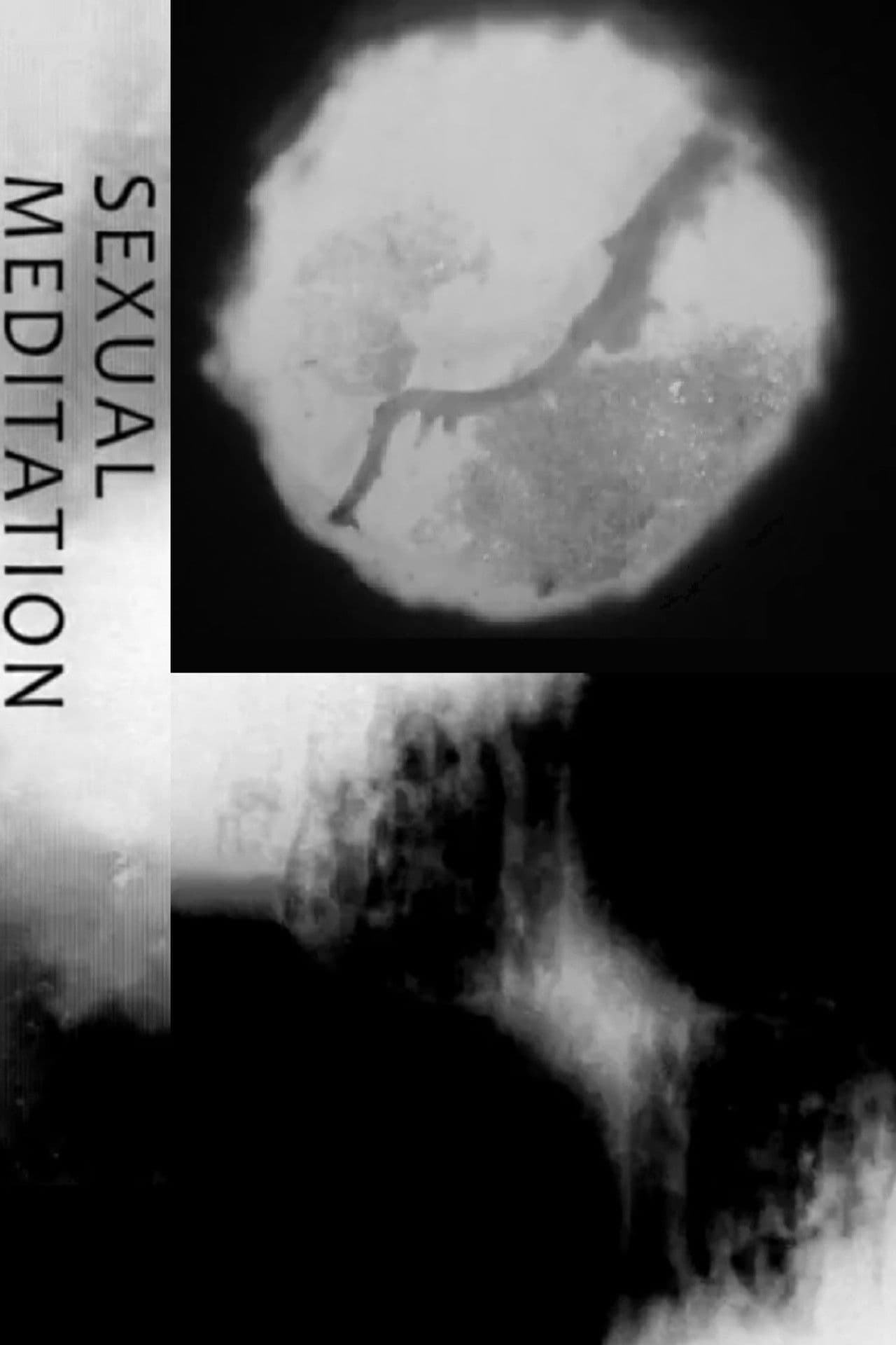 Sexual Meditation