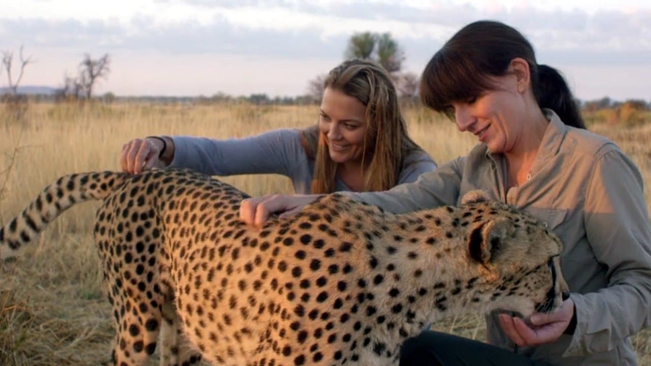 Davina McCall: Life at the Extreme