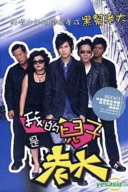 我的儿子是老大