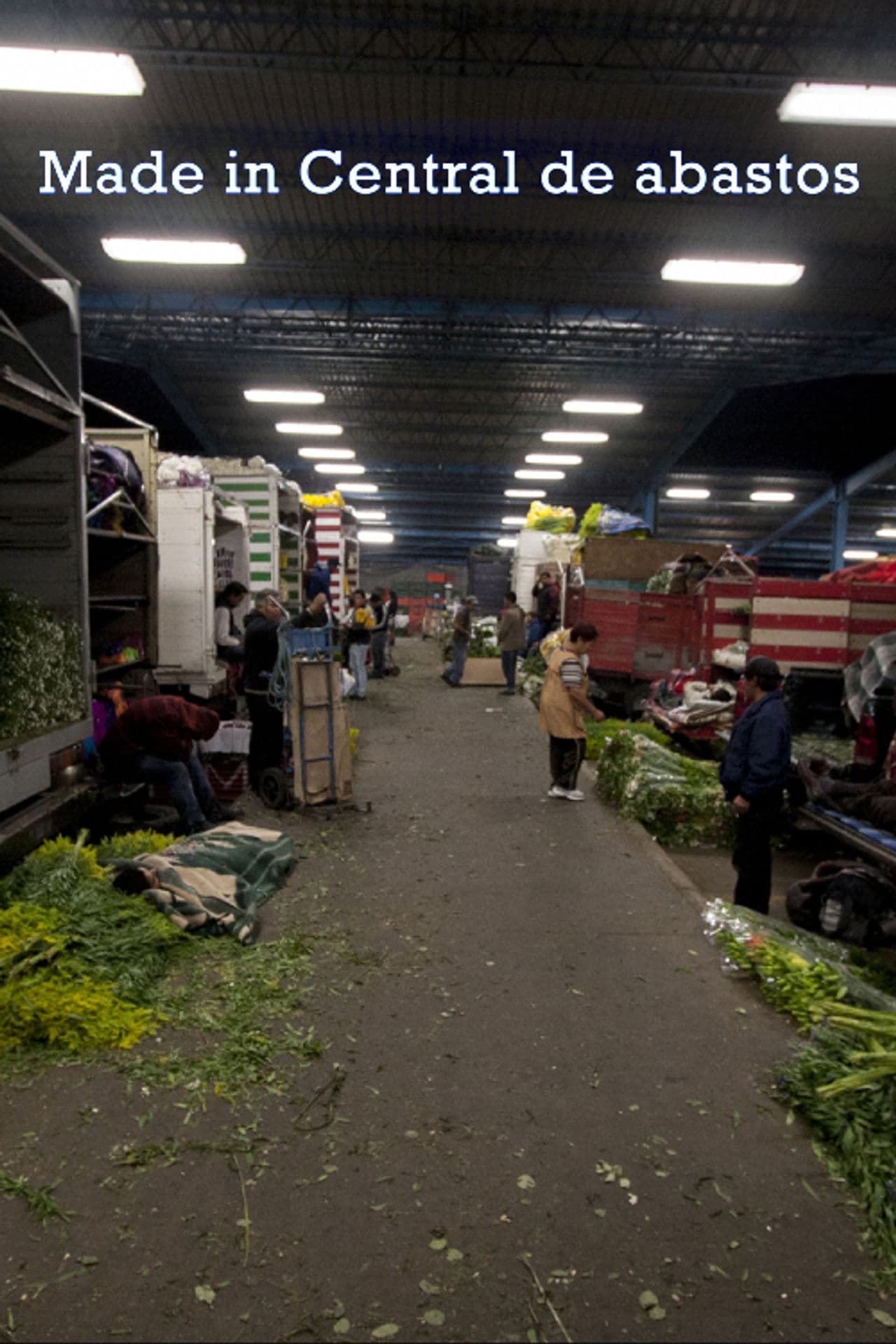 Made in Central de Abastos