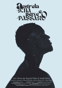 A Estrela-ilha e o Peixe-pássaro