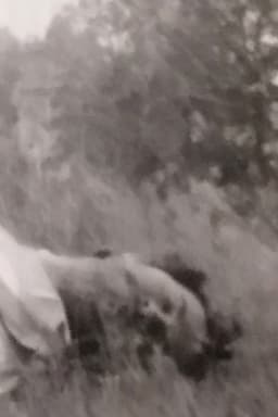 Anviti. Un Fatto Di Sangue