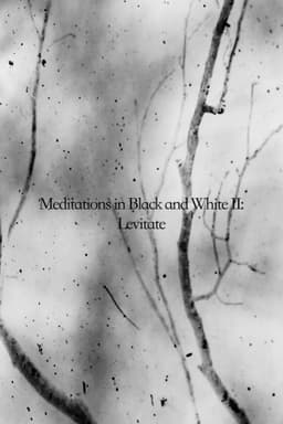 Meditations in Black and White II: Levitate