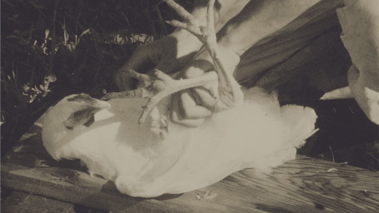 A History of Dancing