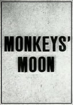 Monkey's Moon