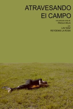 Atravesando el campo