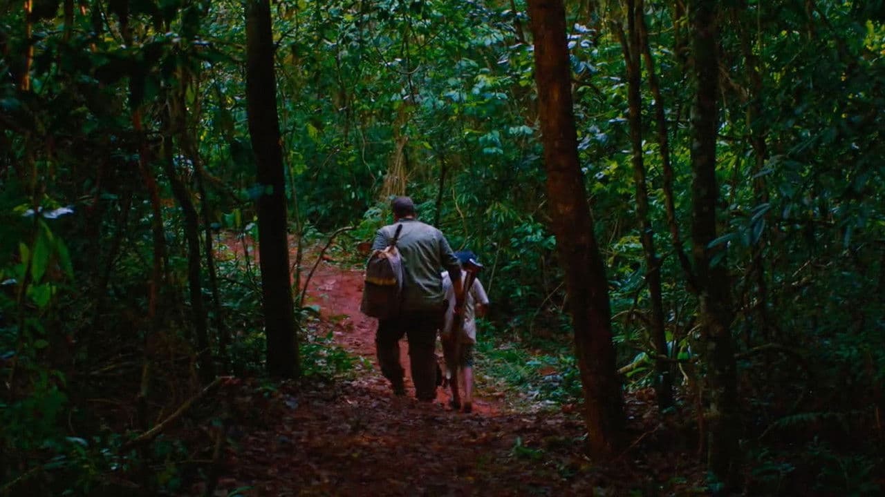 El silencio del cazador