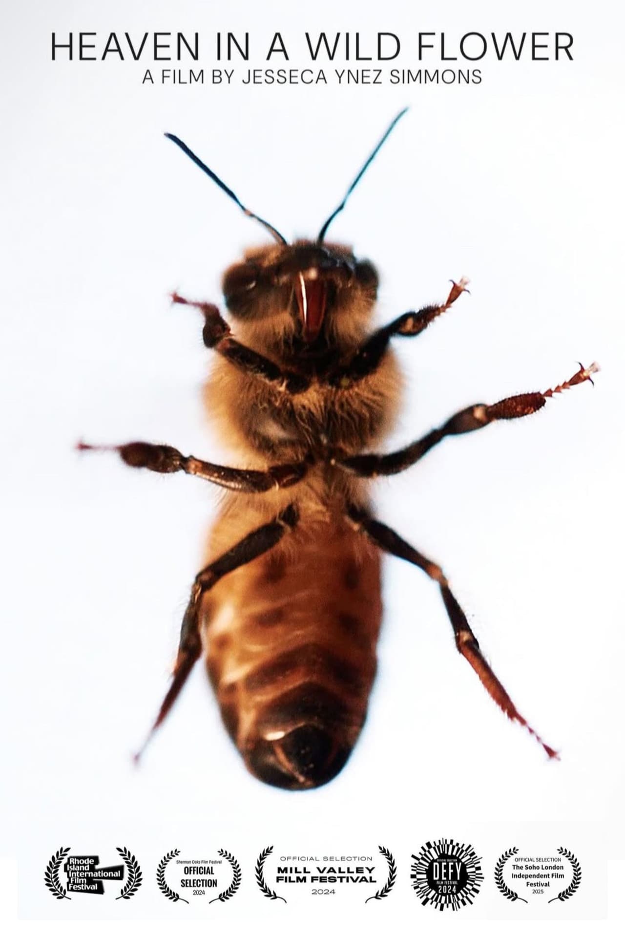 Heaven in a Wild Flower