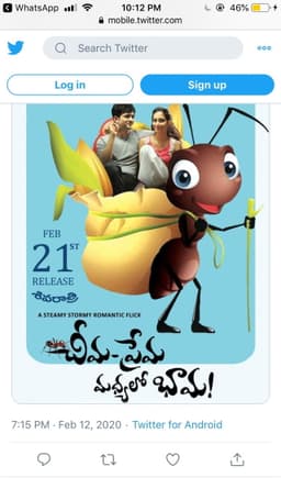 The Ant - The Love and The Girl in Between