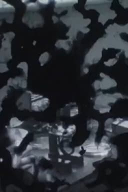 The Handeye: Bone Ghosts