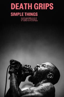 Death Grips: Live At Simple Things Festival 2016