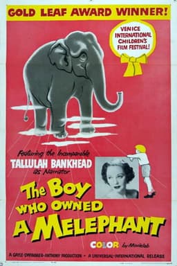 The Boy Who Owned a Melephant