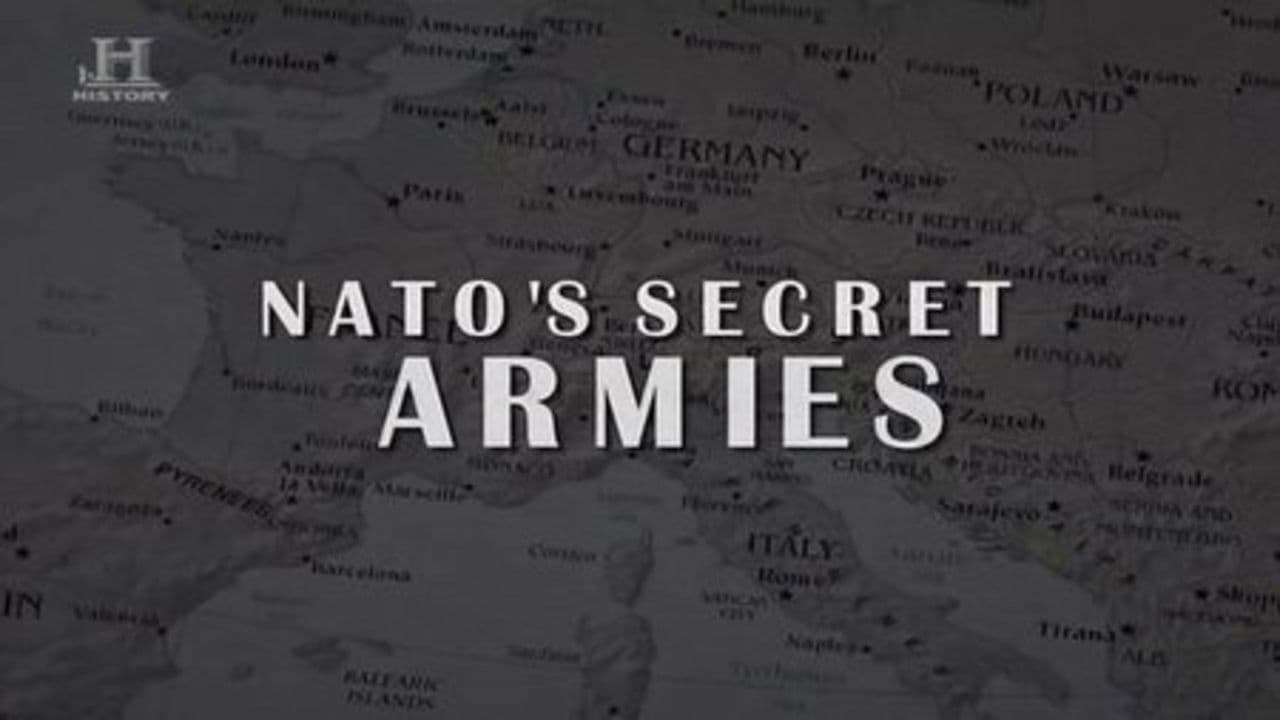 NATO's Secret Armies