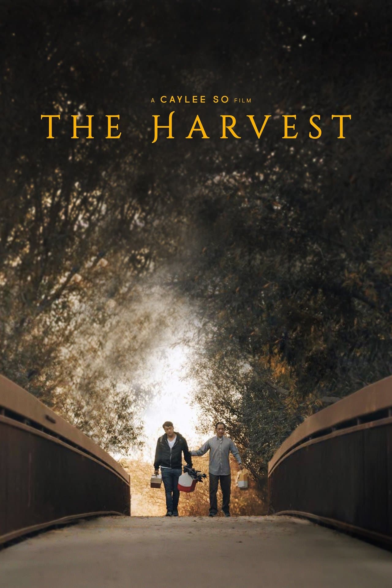 The Harvest