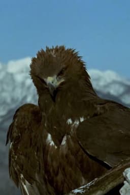 World of the Mountains