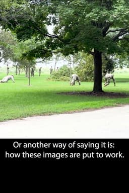 An All-Around Feel Good