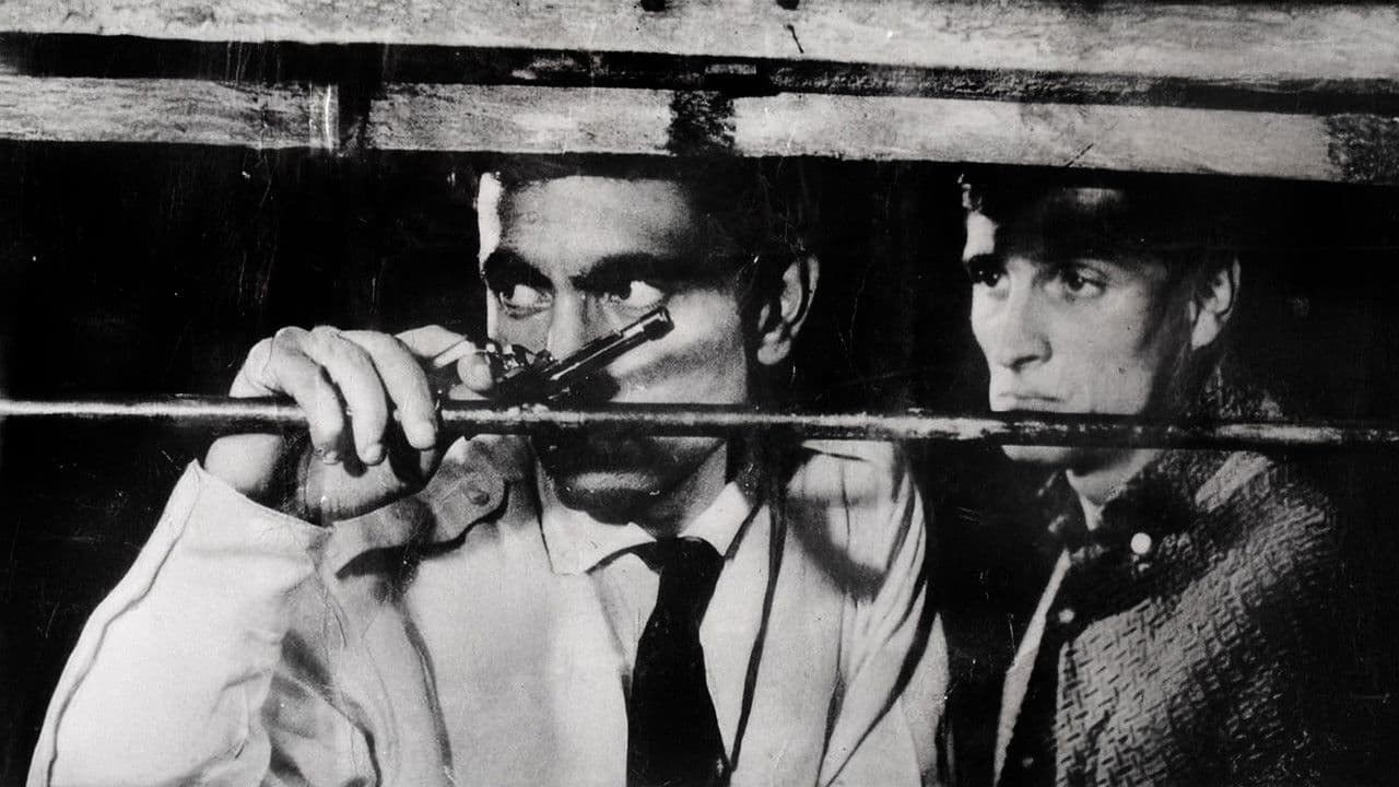 Zımba Gibi Delikanlı