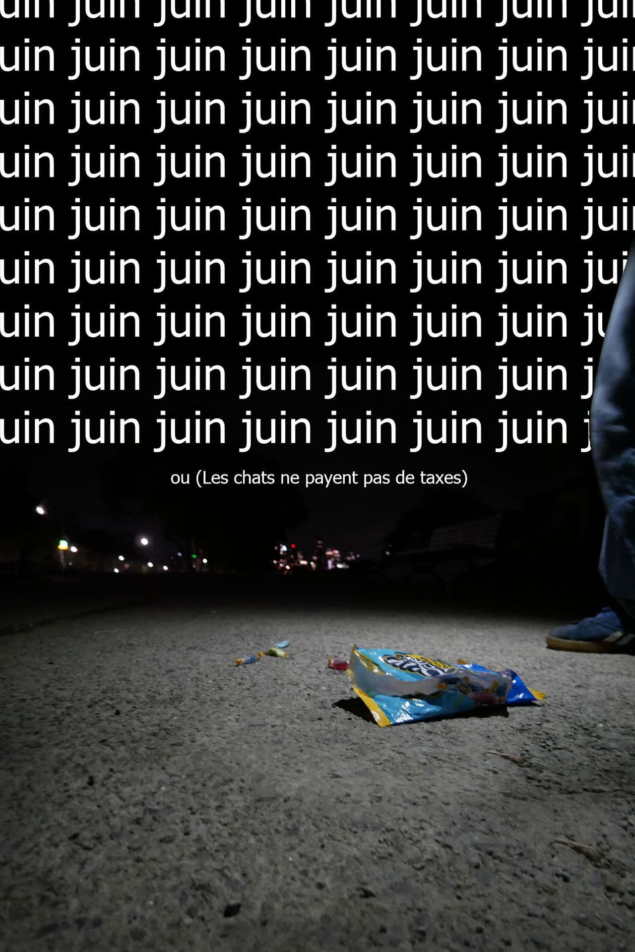 Juin ou  (Les chats ne payent pas de taxes)