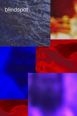 Blindspot