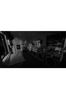 Midnight Laundromat