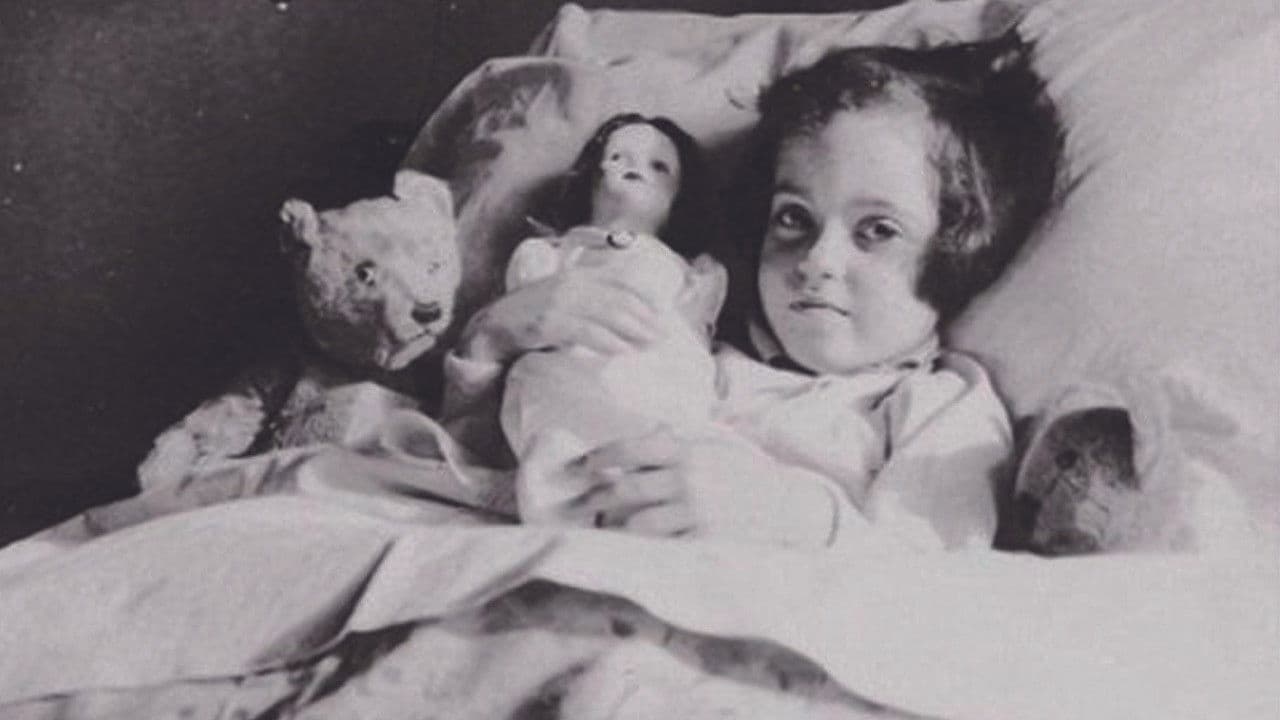 Ydessa, the Bears and etc.