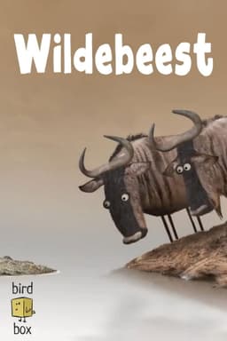 Wildebeest