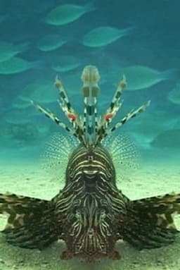 Careless Reef part 4: Marsa Abu Galawa