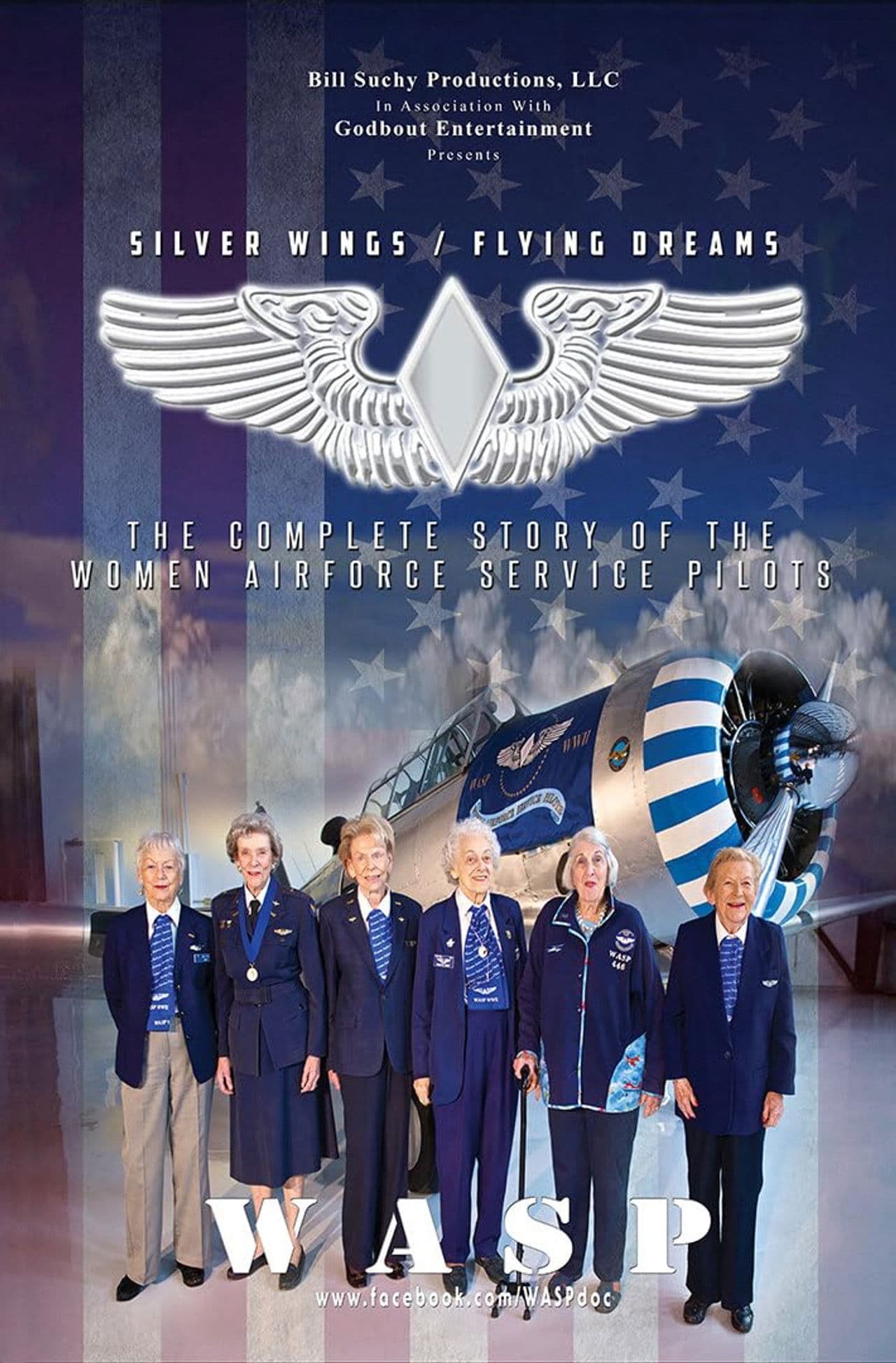 Silver Wings / Flying Dreams  - The Complete Story of the Women Airforce Service Pilots