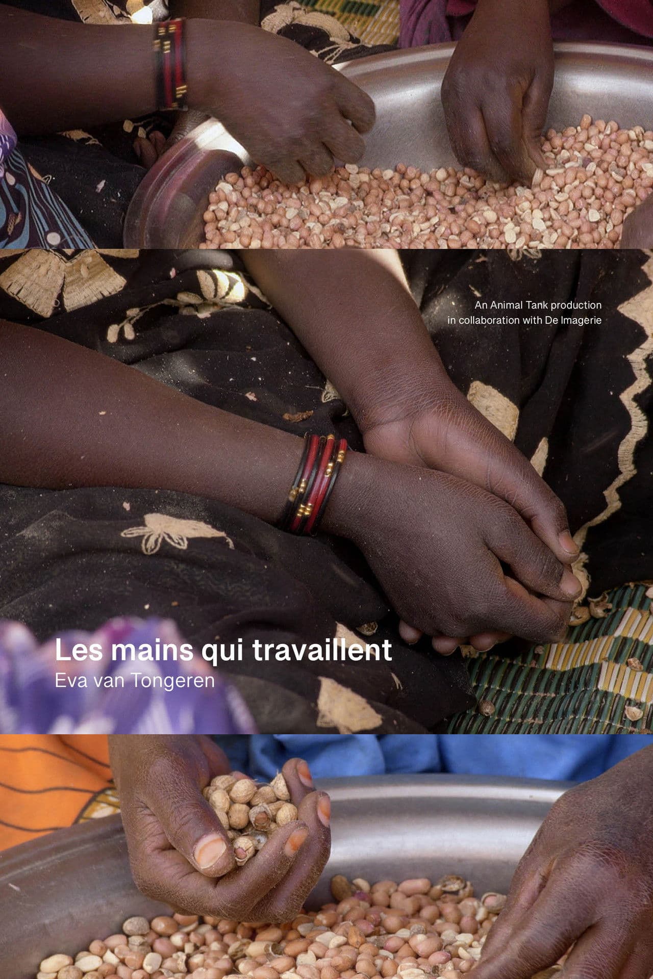 Les mains qui travaillent