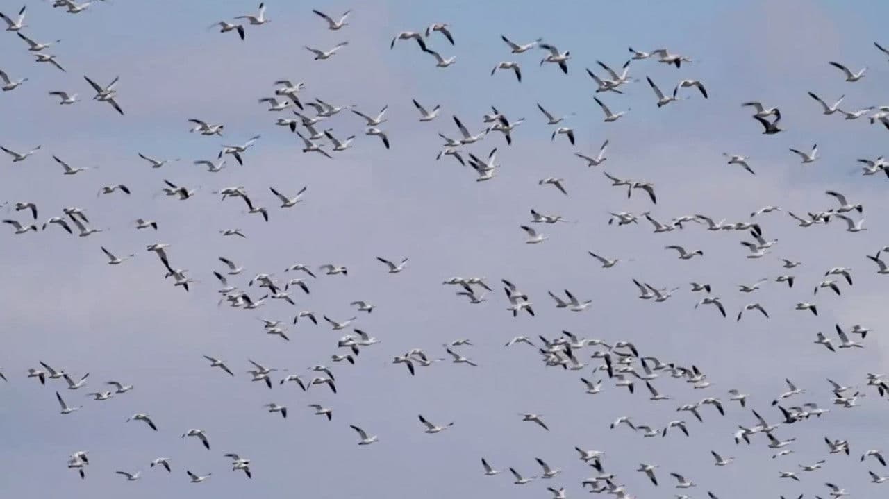 Everything Is All Right