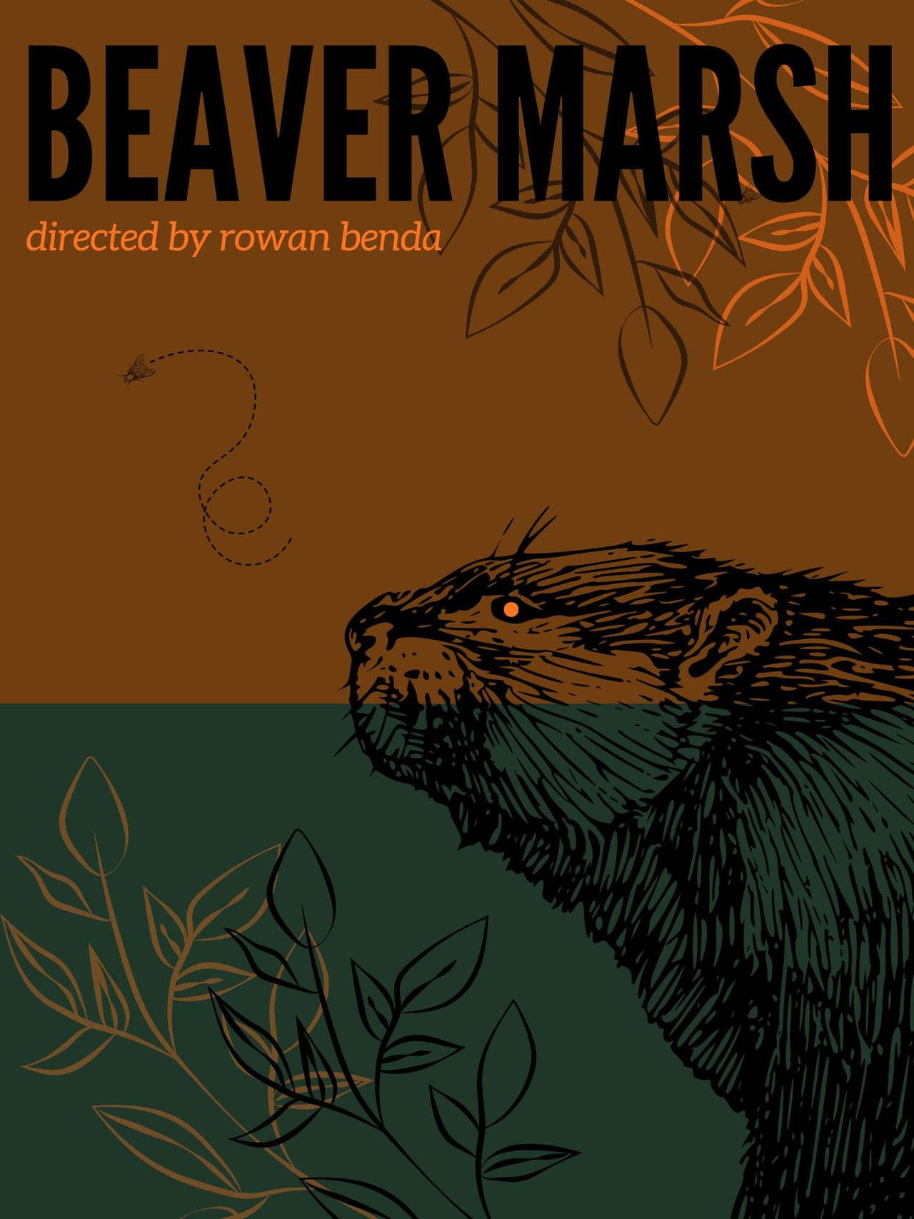 Beaver Marsh