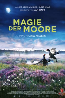 Magie der Moore