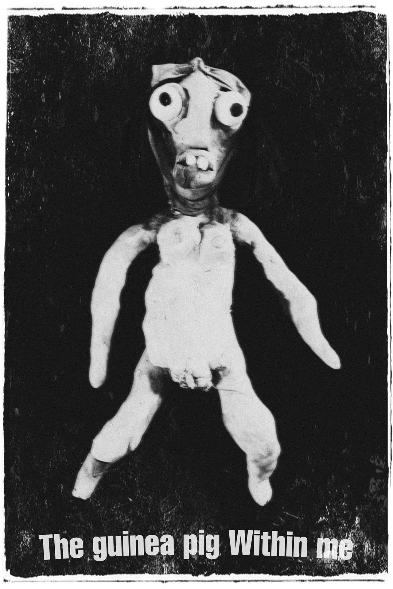 The Guinea Pig Within Me