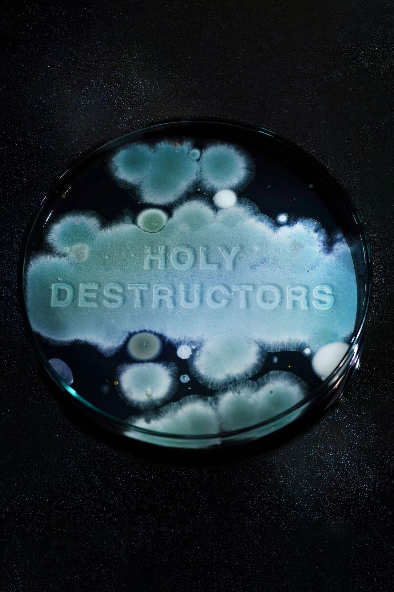 Holy Destructors