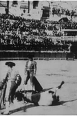 Courses de taureaux : mort du taureau