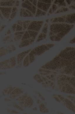 Organ Rhythms Under the Rain