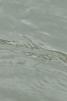 entre les vagues (un hommage)