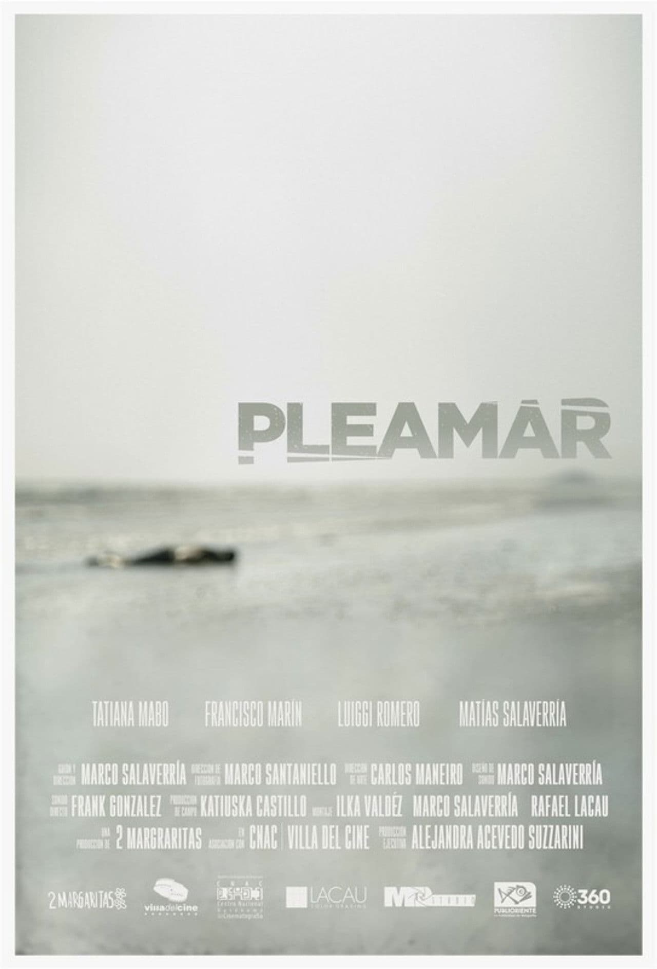 Pleamar