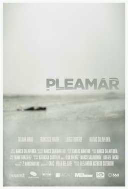 Pleamar