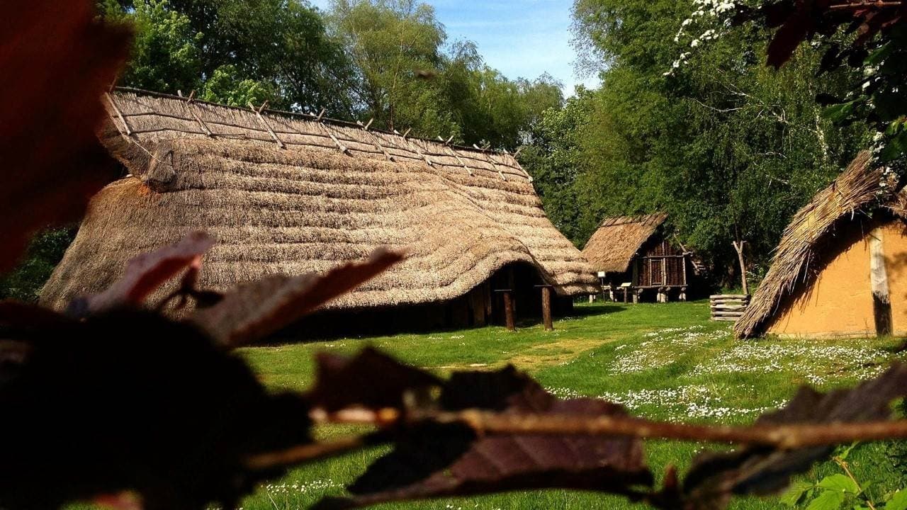 Ils ont changé le monde - Les Germains