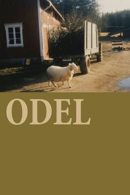 The Odelsrett